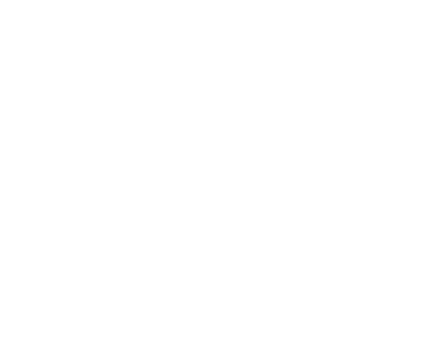 Primary club partner Castore logo